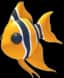 Angelfish — item image