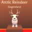 Arctic Reindeer — item image