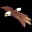 Neon Fly Ride Bald Eagle — item image