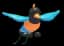 Bird of Paradise — item image