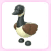 Canada Goose — item image