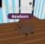Capybara — item image