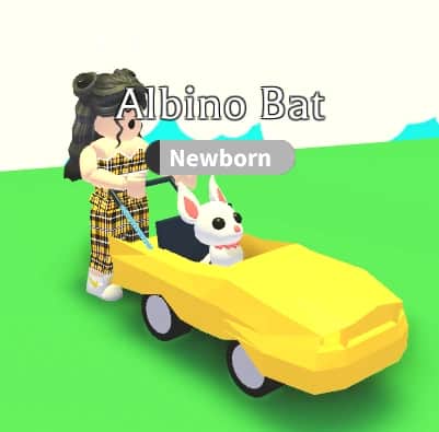Car Stroller — item image