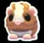Chocolate Dutch Guinea Pig — item image