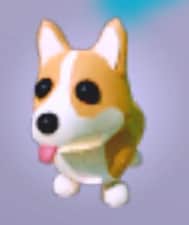 Corgi — item image