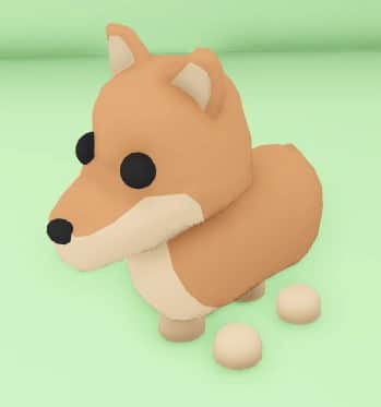 Dingo — item image