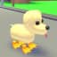 Duck Feet — item image