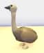 Emu — item image