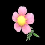 Flower Monocle — item image