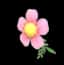 Flower Monocle — item image