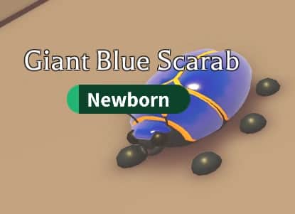 Giant Blue Scarab — item image
