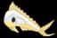 Gold Mahi Mahi — item image