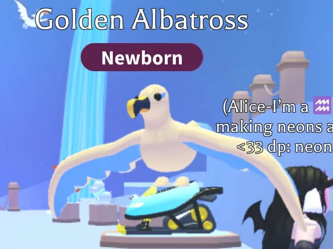 Golden Albatross — item image