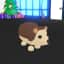 Hedgehog — item image