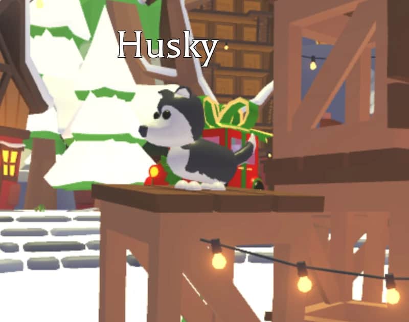 Husky — item image