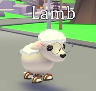 Lamb — item image