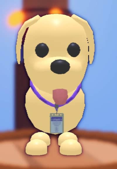 Lanyard — item image