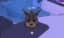 Lynx — item image