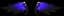 Midnight Wings — item image