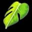 Monstera Leaf Cape — item image