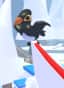 Neon Maleo Bird — item image