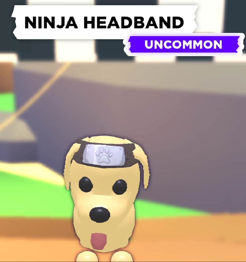 Ninja Headband — item image