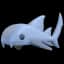 Nurse Shark — item image