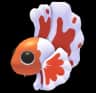 Orange Betta Fish — item image