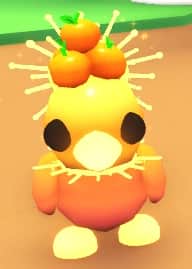 Orange Hat — item image