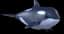 Orca — item image