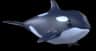 Neon Orca — item image