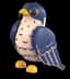 Peregrine Falcon — item image