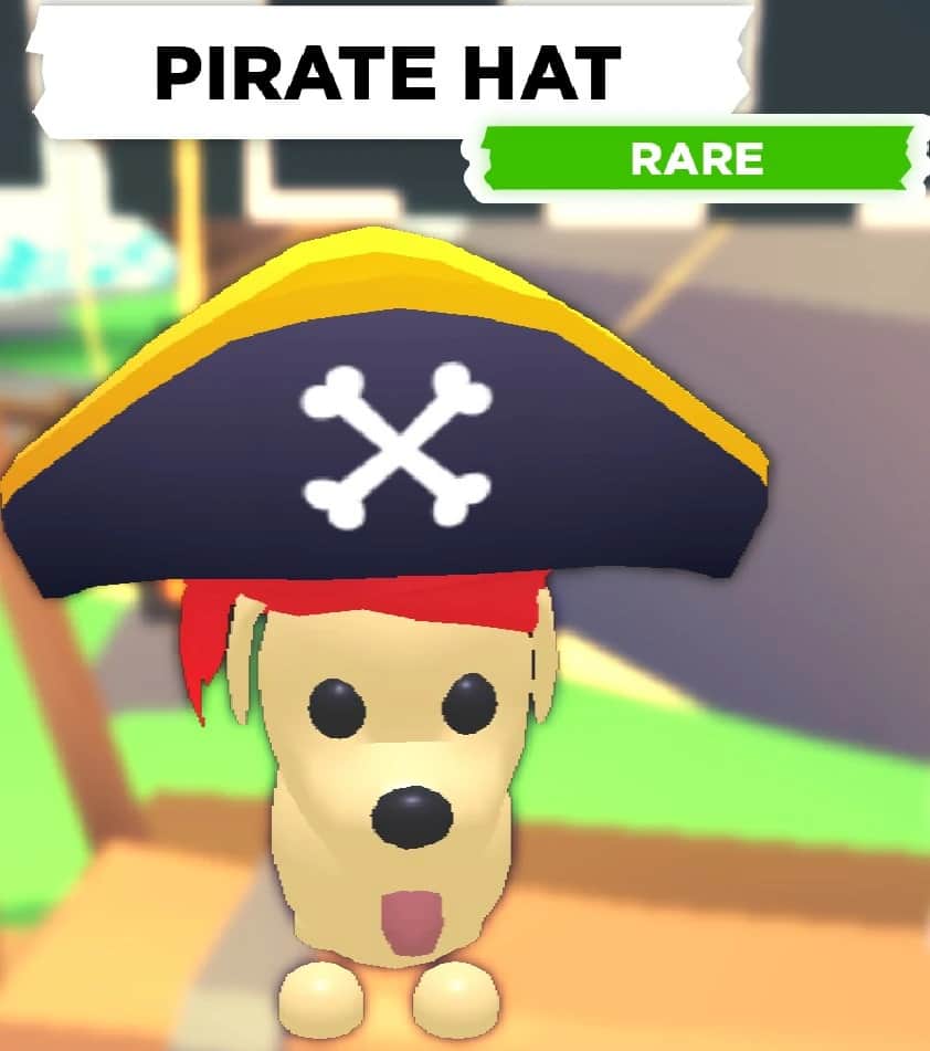 Pirate Hat — item image