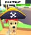 Pirate Hat — item image