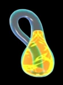 Polymorph Potion — item image
