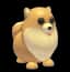 Pomeranian — item image