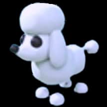 Poodle — item image