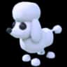 Poodle — item image