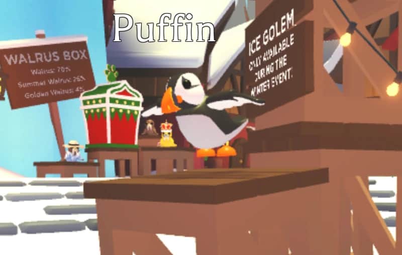 Puffin — item image
