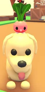 Radish Friend — item image