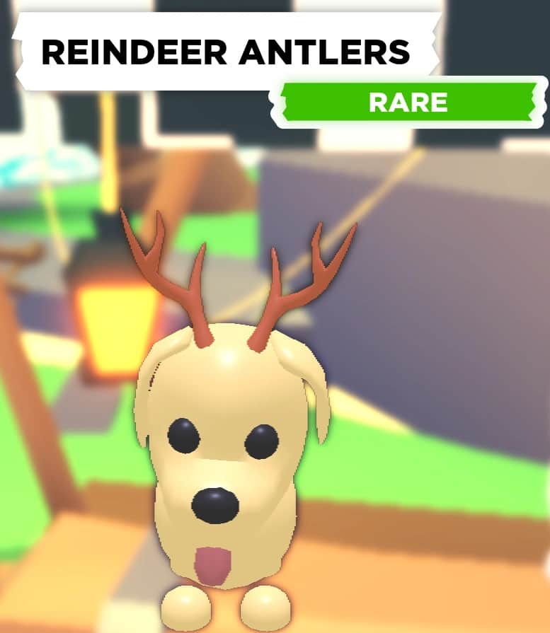Reindeer Antlers — item image