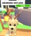 Reindeer Antlers — item image