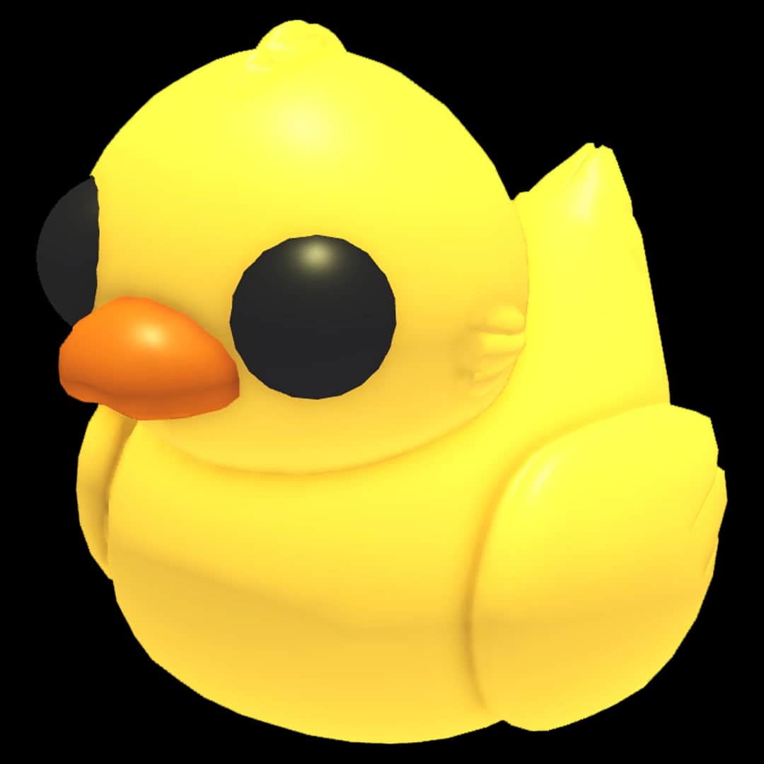 Ride Rubber Ducky — item image