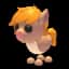 Show Pony — item image