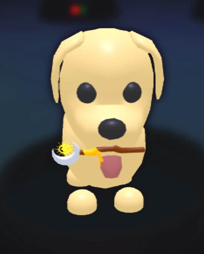 Sorcerer Wand — item image