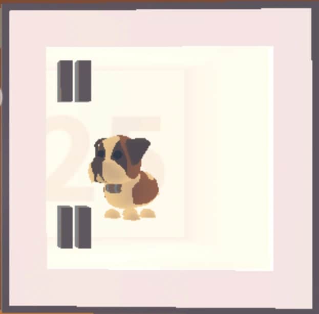 St. Bernard — item image