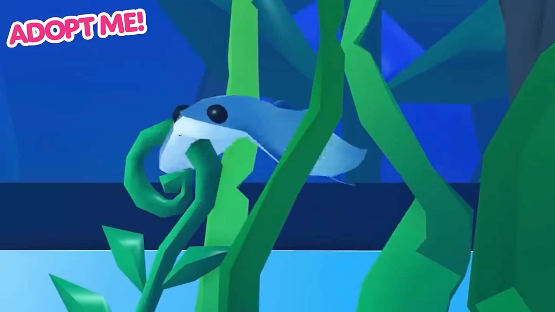 Stingray — item image