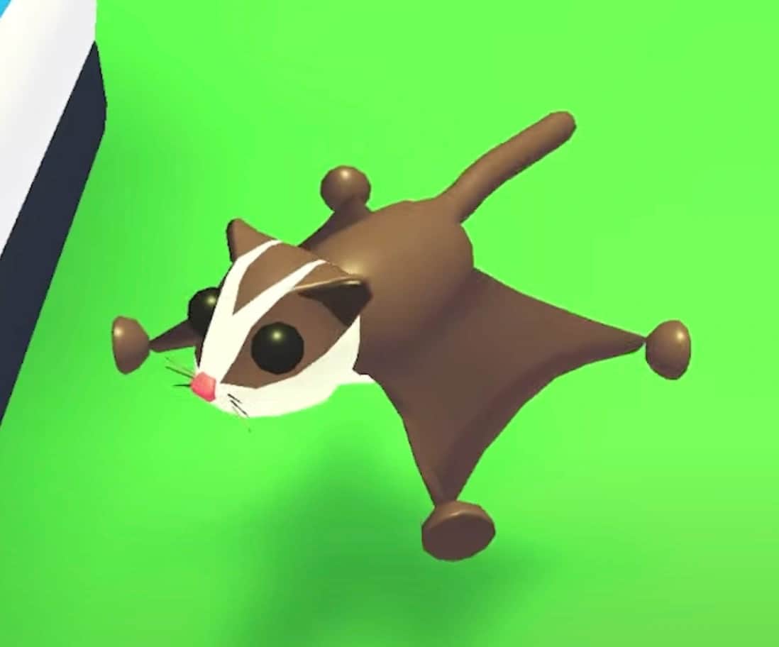 Sugar Glider — item image
