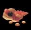 Thorny Devil — item image