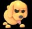 Toy Poodle — item image